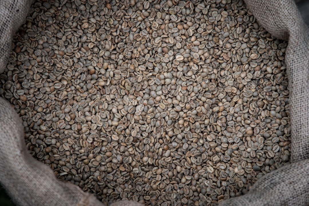 Raw green coffee beans in a burlap sack